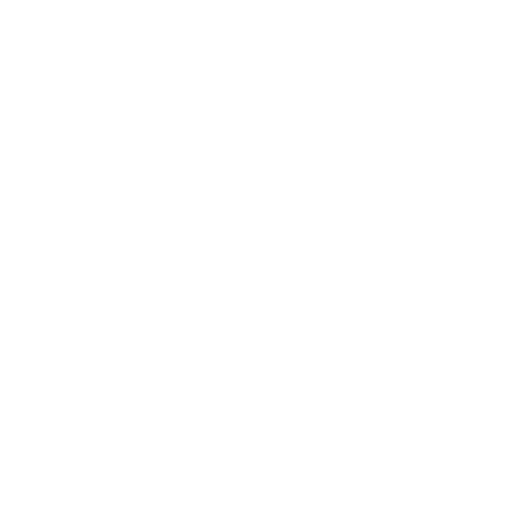 YWA Logo White