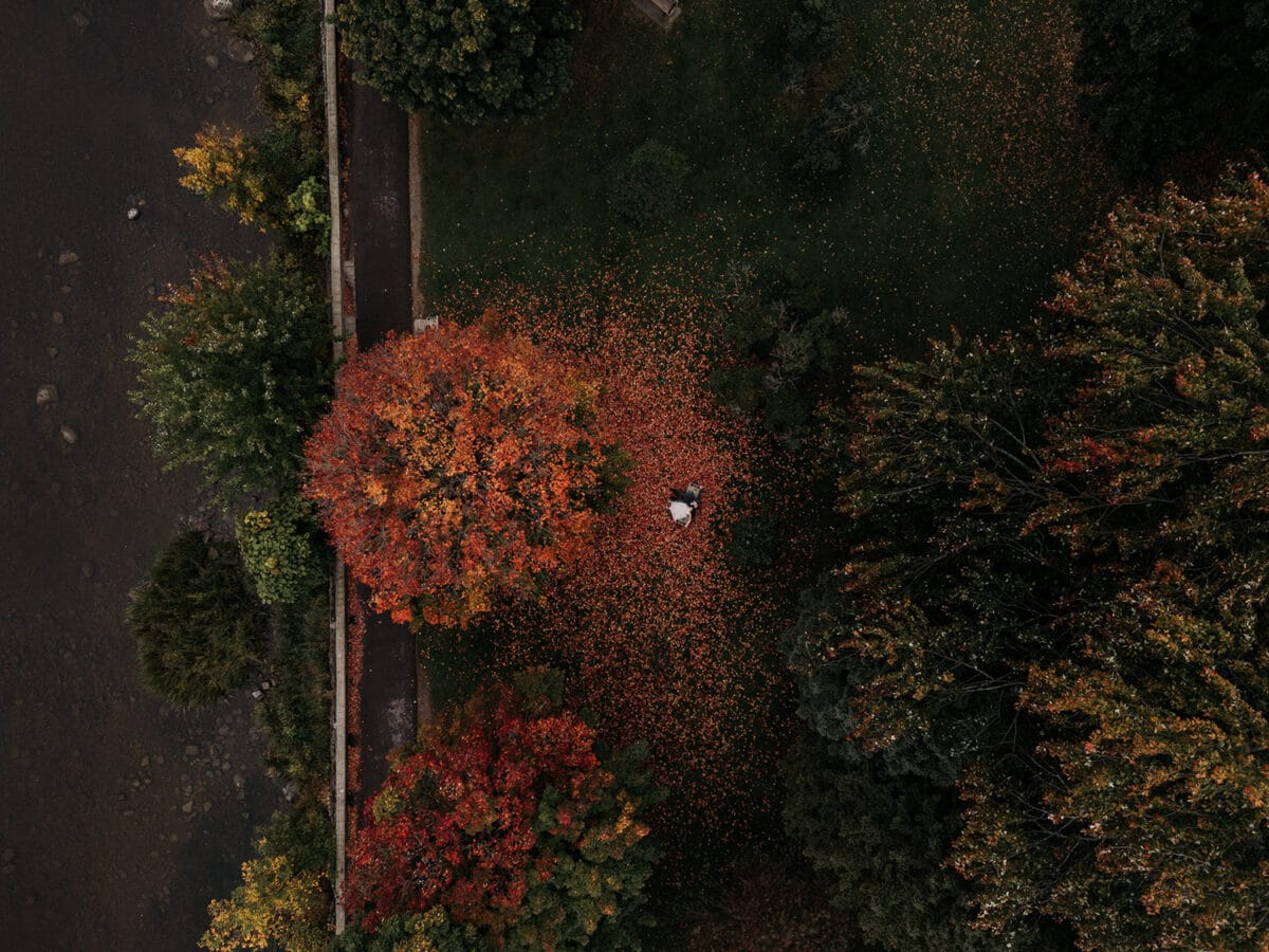 Lauren McCormick Photography