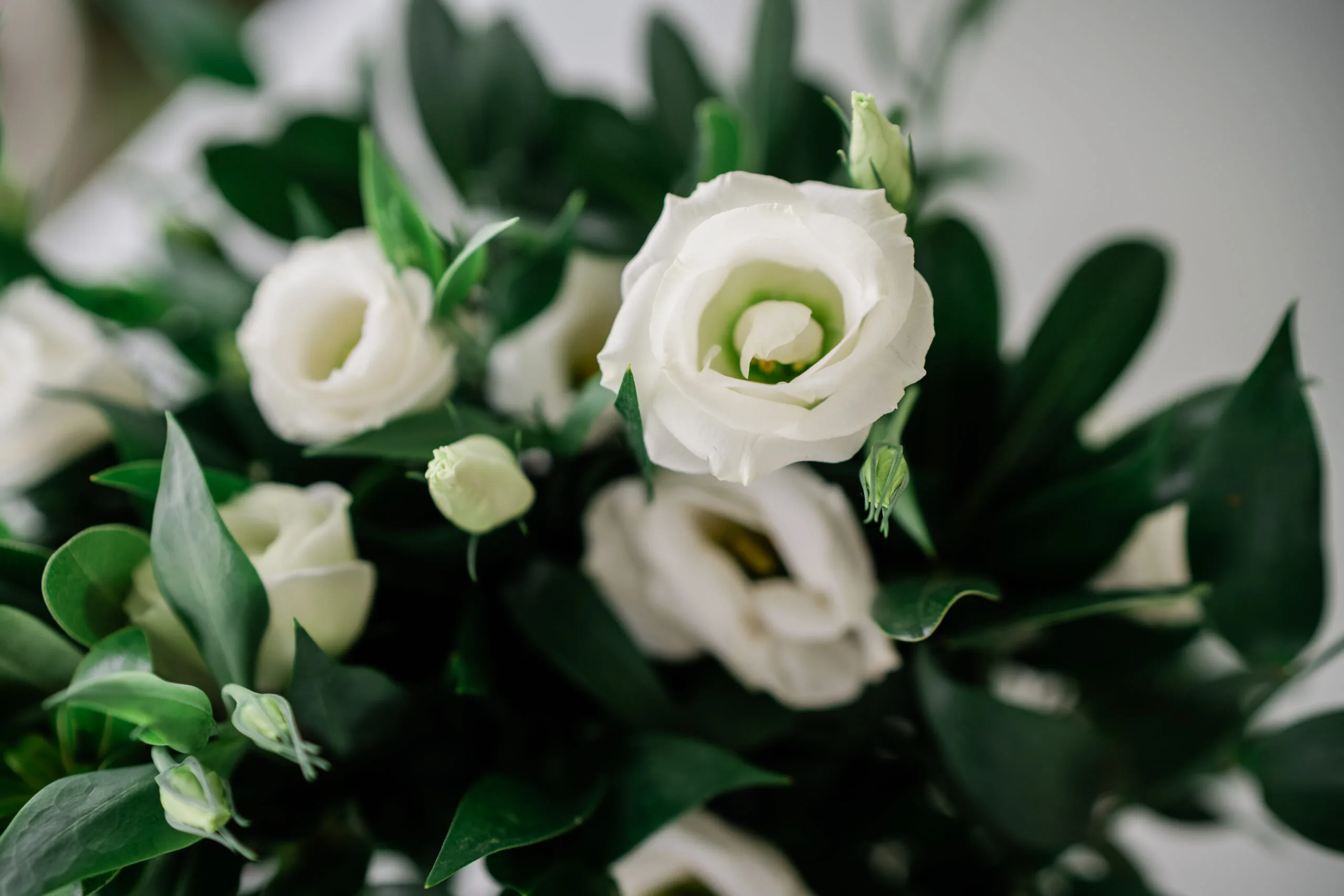 Marina and Colin's Flowers 2